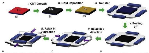 腾博会官网·专业效劳,诚信为本