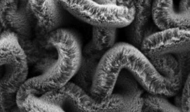 行业新闻：可拉伸的超等电容器，为柔性可衣着装备铺路